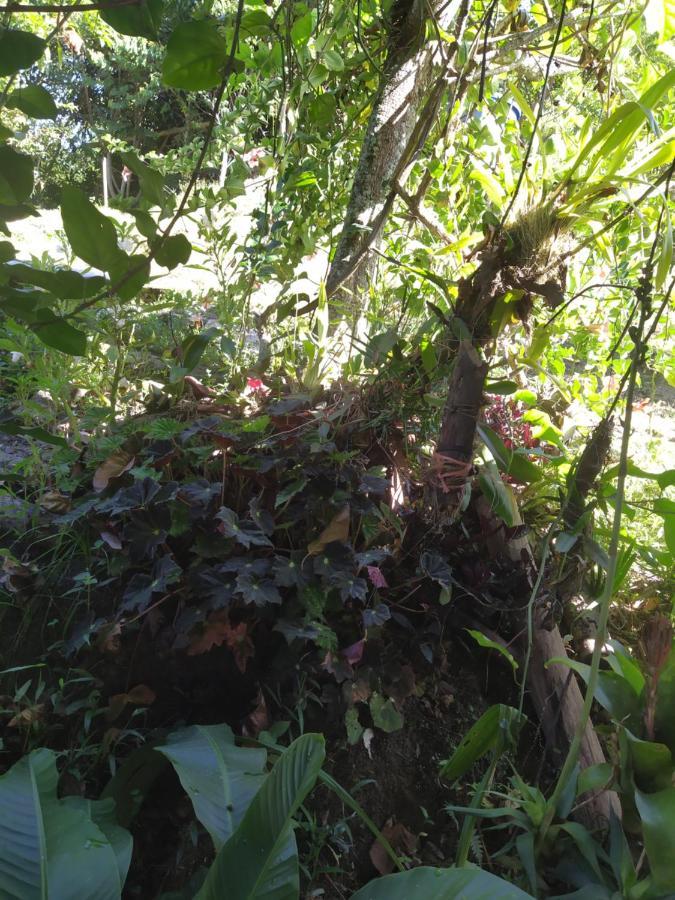 Eco Aldea Topacio Sasaima